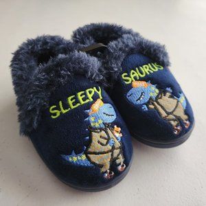 Wonder Nation Toddler Dino Aline Slipper *** Size (5-6).